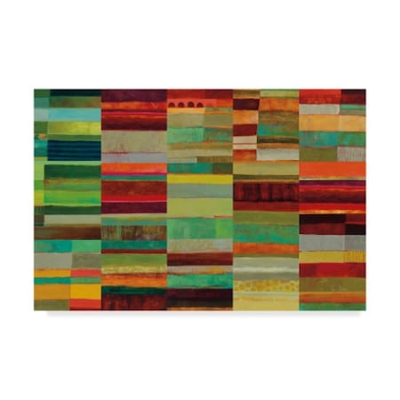 Jane Davies 'Fields Of Color Viii' Canvas Art,30x47